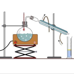 Producción de aceites esenciales