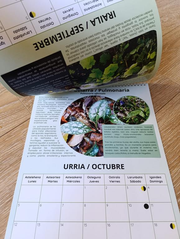 Calendario 2026 Egutegia - Imagen 2