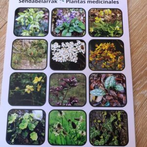 Calendario 2026 Egutegia