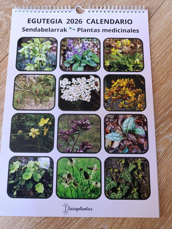 Calendario 2026 Egutegia